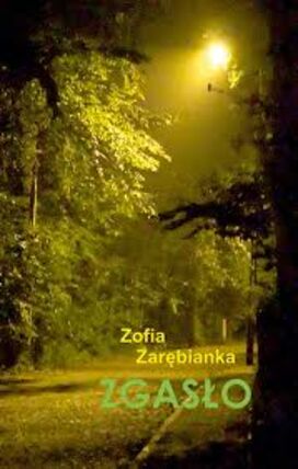 Zdjęcie spotkania: Sacrum, milczenie, poezja. Wieczór z Zofią Zarębianką i jej tomikiem „Zgasło”